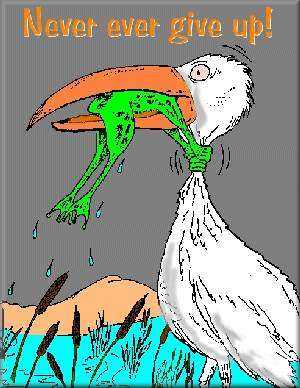 300x388 Frog Stuff - Never Give Up Drawing Frog Bird