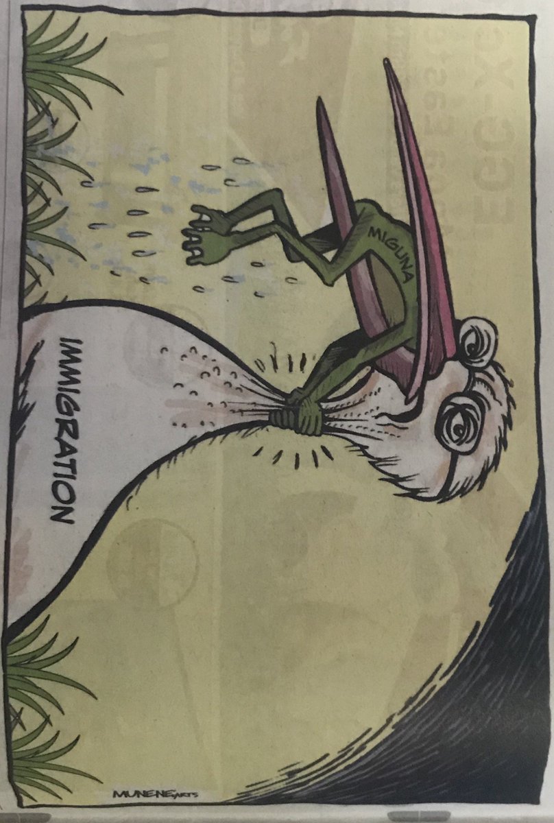 808x1200 Muthomi J M On Twitter So You Go Online And Plagiarize - Never Give Up Drawing Frog Bird