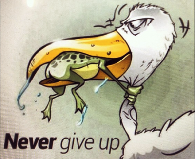 Never Give Up Drawing Frog Bird at PaintingValley.com | Explore ...