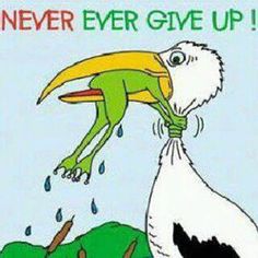 Never Give Up Drawing Frog Bird at PaintingValley.com | Explore ...