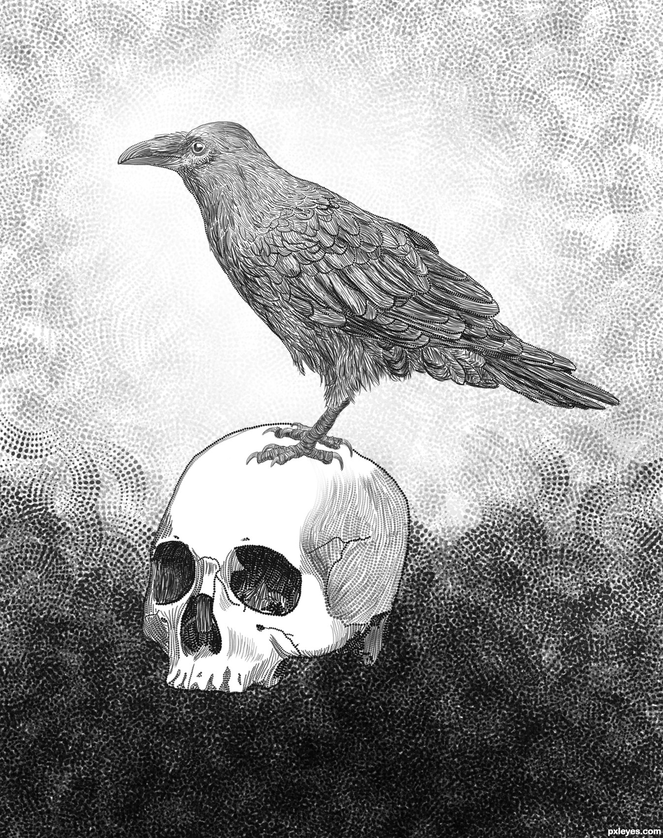 1346x1700 Never More Picture - Nevermore Drawing