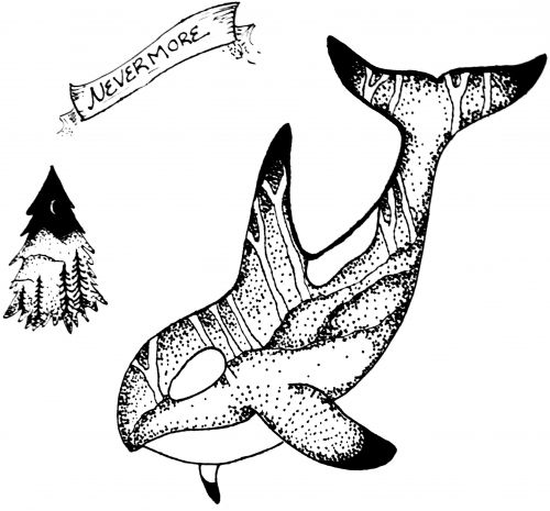 500x465 Nevermore - Nevermore Drawing