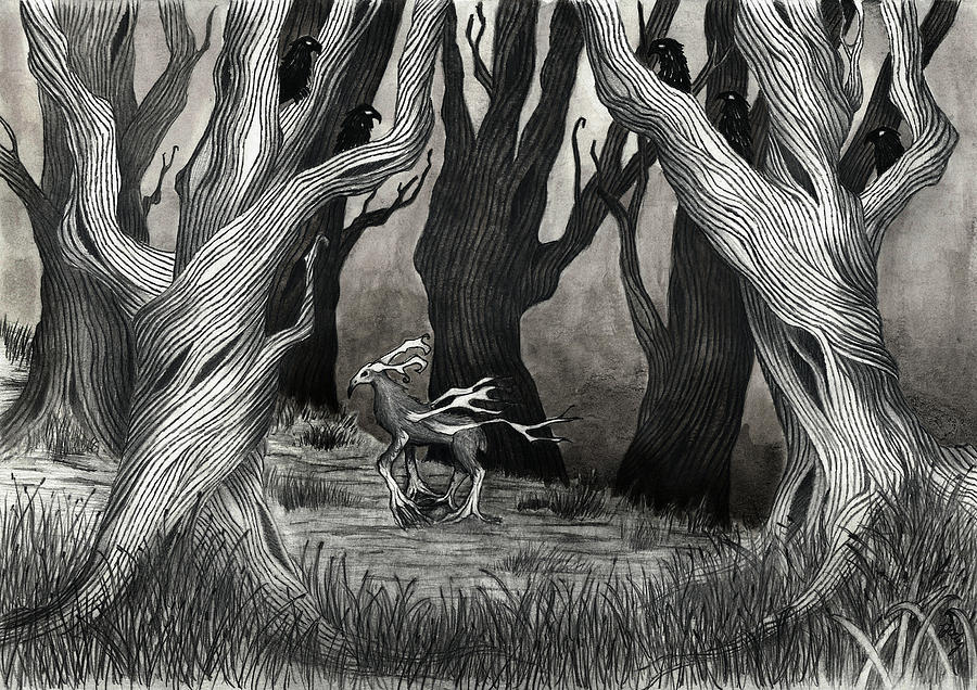 900x636 Forest Nevermore Drawing - Nevermore Drawing