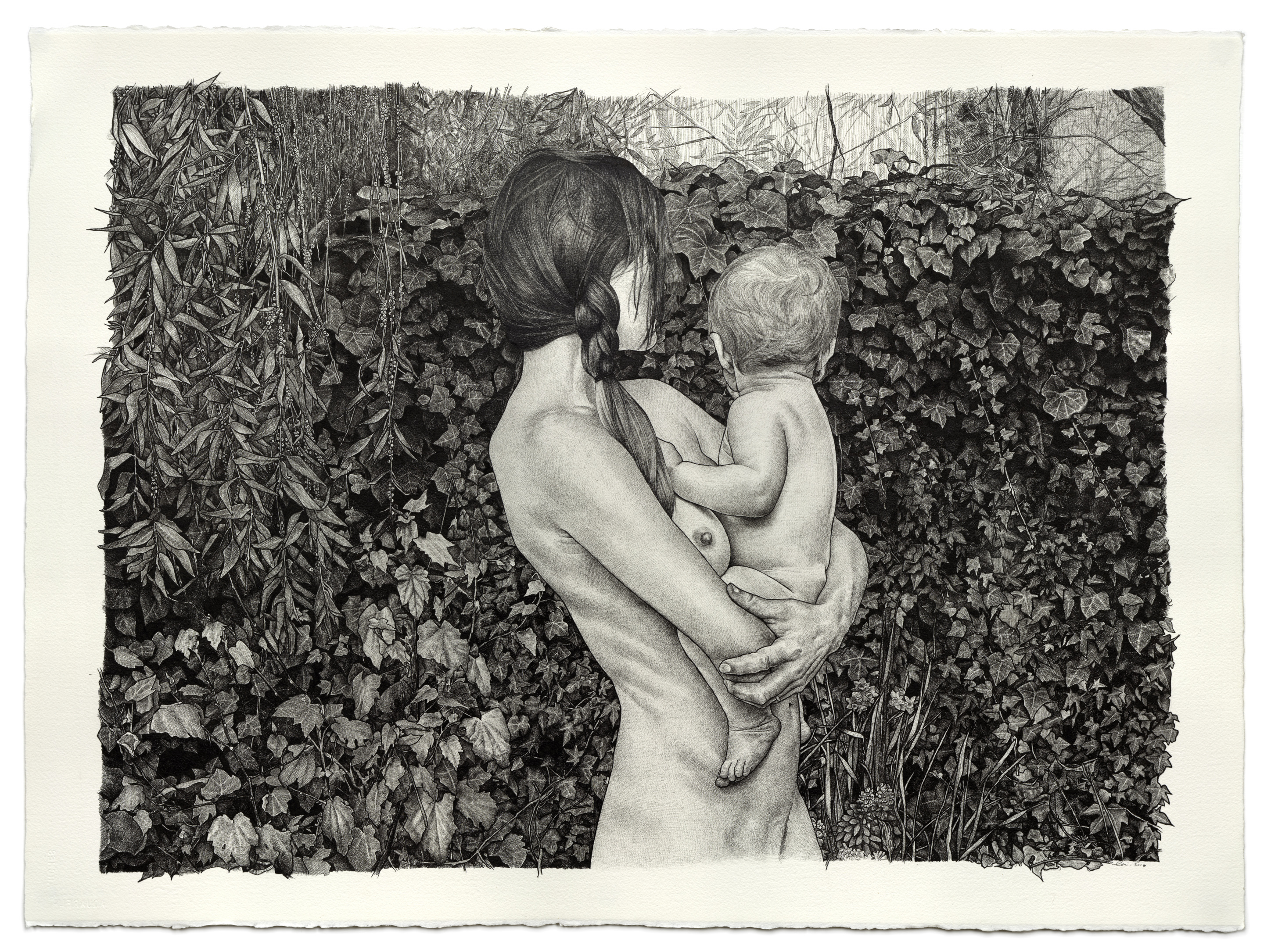 2896x2170 Morning Song A New Drawing Lily Mae Martin - New Drawing