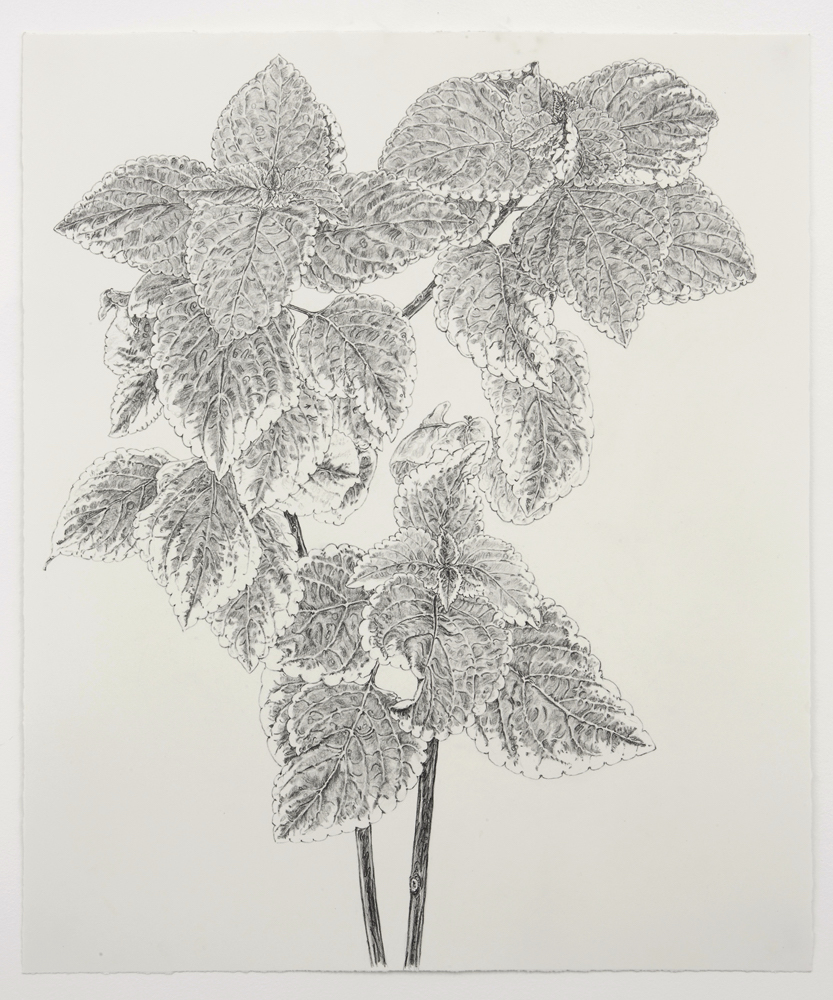 833x1000 New Drawings - New Drawing