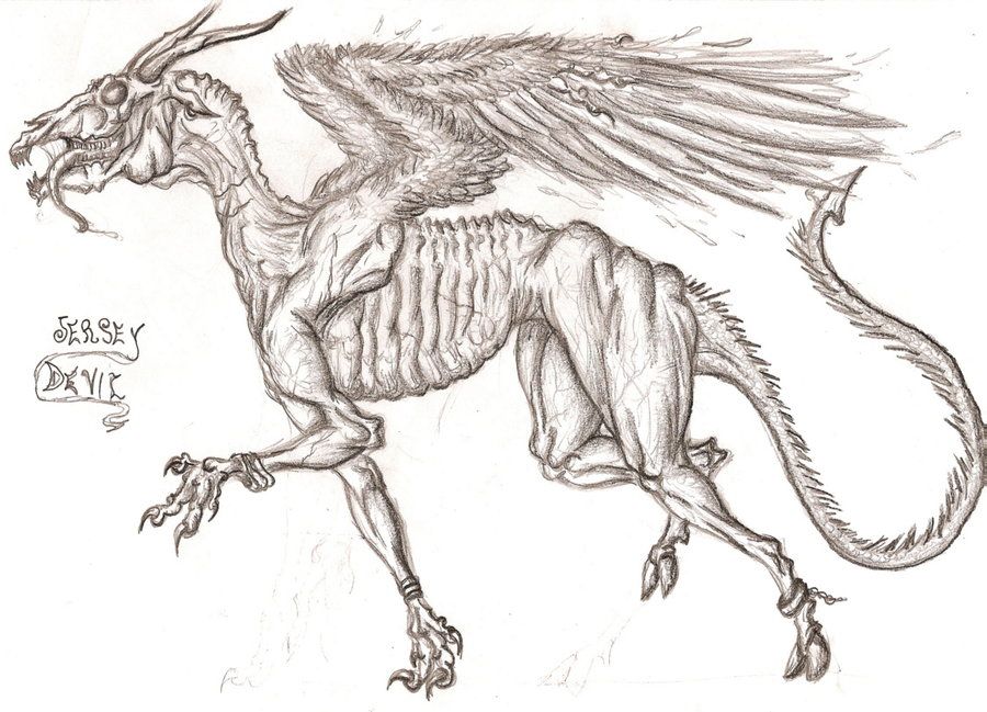 900x649 jersey devil drawing - New Jersey Drawing