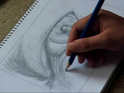 480x360 Eye Of The Wolf - New Moon Drawing