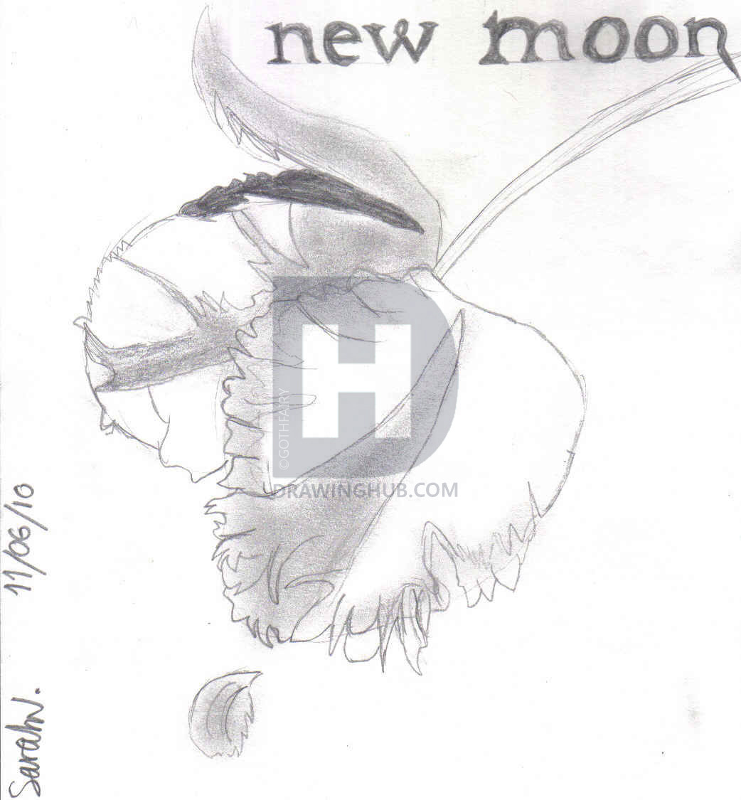 1042x1125 New Moon Drawing - New Moon Drawing