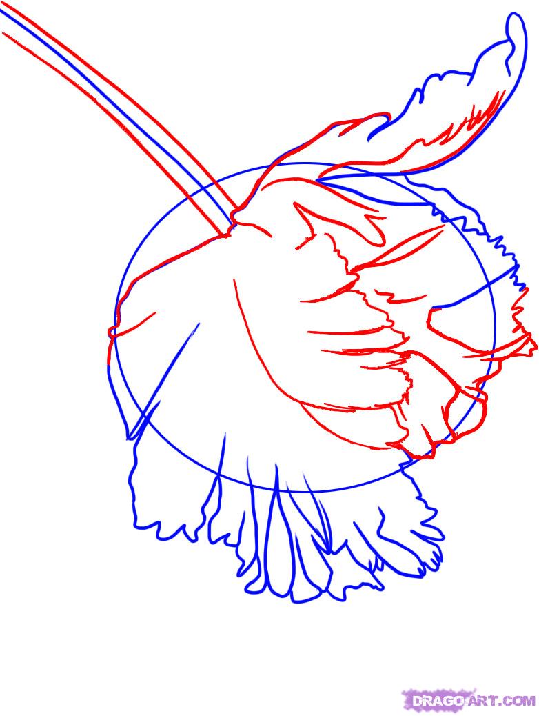 782x1038 Step How To Draw New Moon Cover - New Moon Drawing