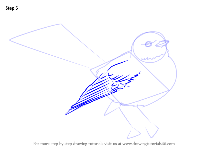 846x600 learn how to draw new zealand fantail - New Zealand Drawing
