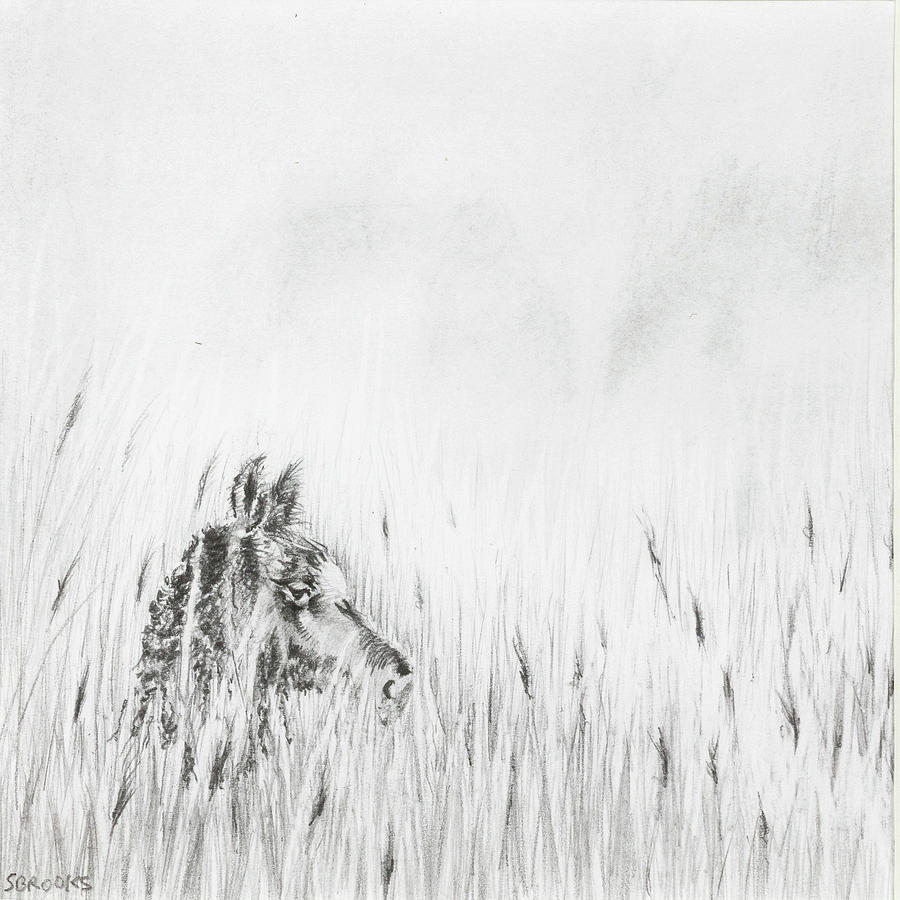 900x900 newborn drawing - Newborn Drawing