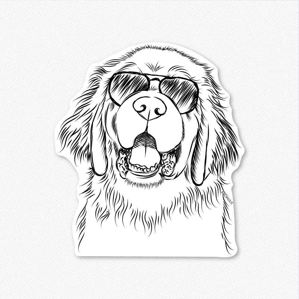 1000x1000 mozart the newfoundland - Newfoundland Dog Drawing
