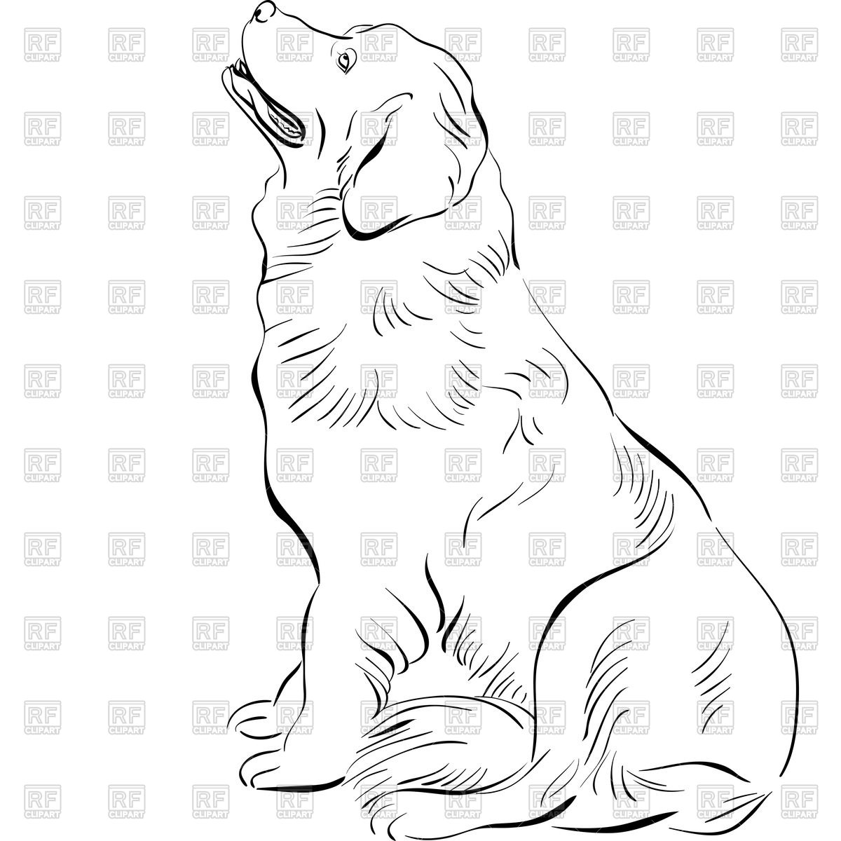 1200x1200 black and white sketch of sitting newfoundland vector image - Newfoundland Dog Drawing