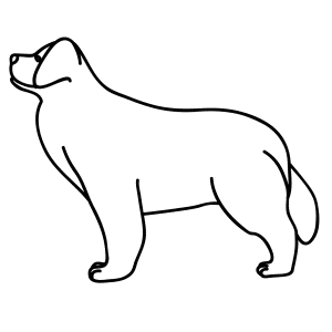 300x300 learn how to draw animals step - Newfoundland Drawing