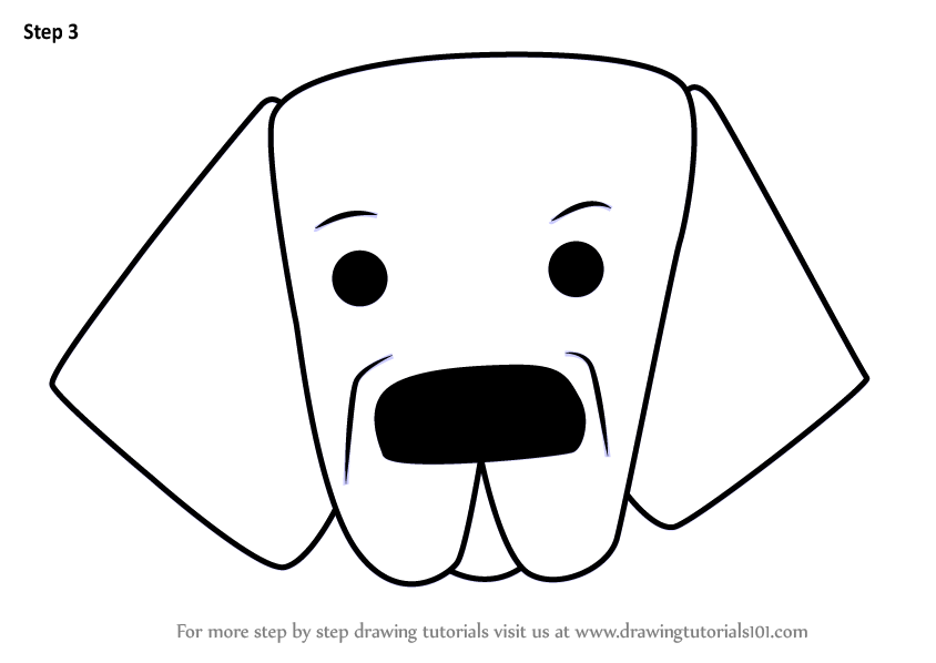 844x598 learn how to draw a newfoundland dog face for kids - Newfoundland Drawing