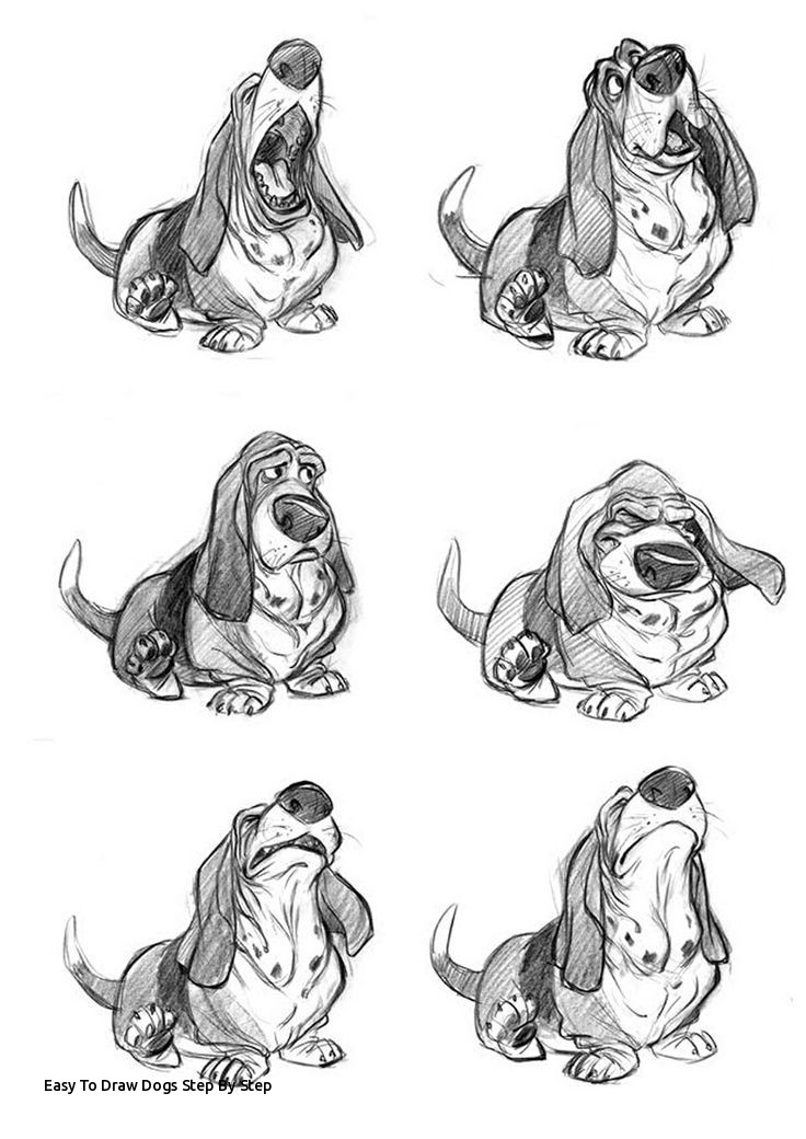 736x1040 easy to draw dogs step - Newfoundland Drawing