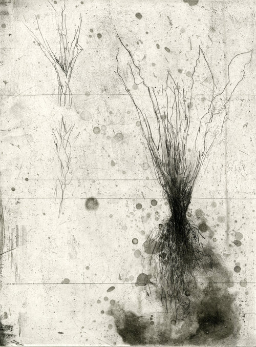 500x677 llcc's james s murray gallery features nexus drawing - Nexus Drawing