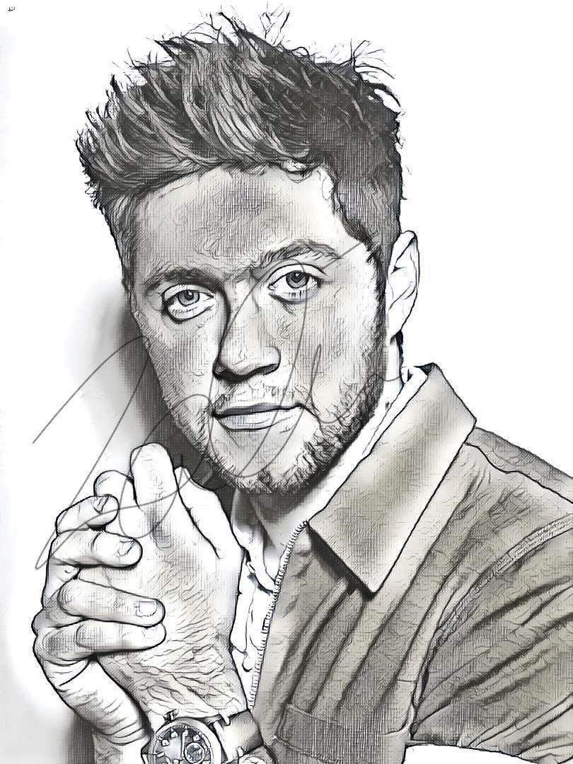 810x1080 Niall Horan Sketch Drawing Print Poster Hand Drawn - Niall Horan Drawing