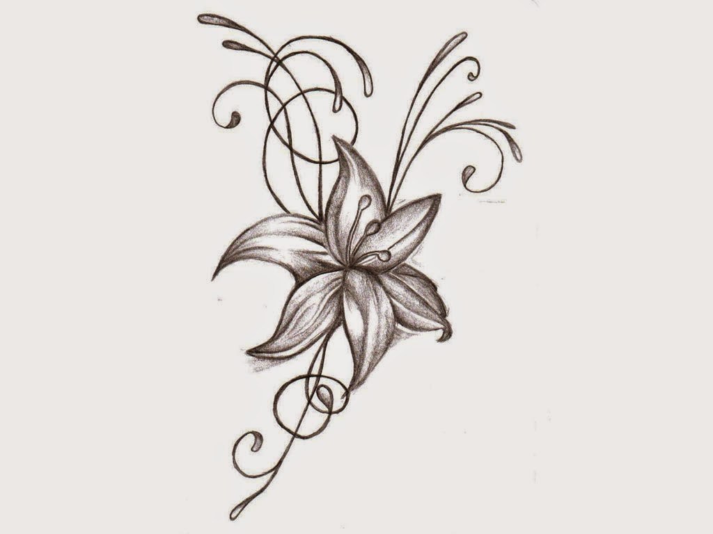 1024x768 how do you draw a nice flower - Nice Flower Drawing