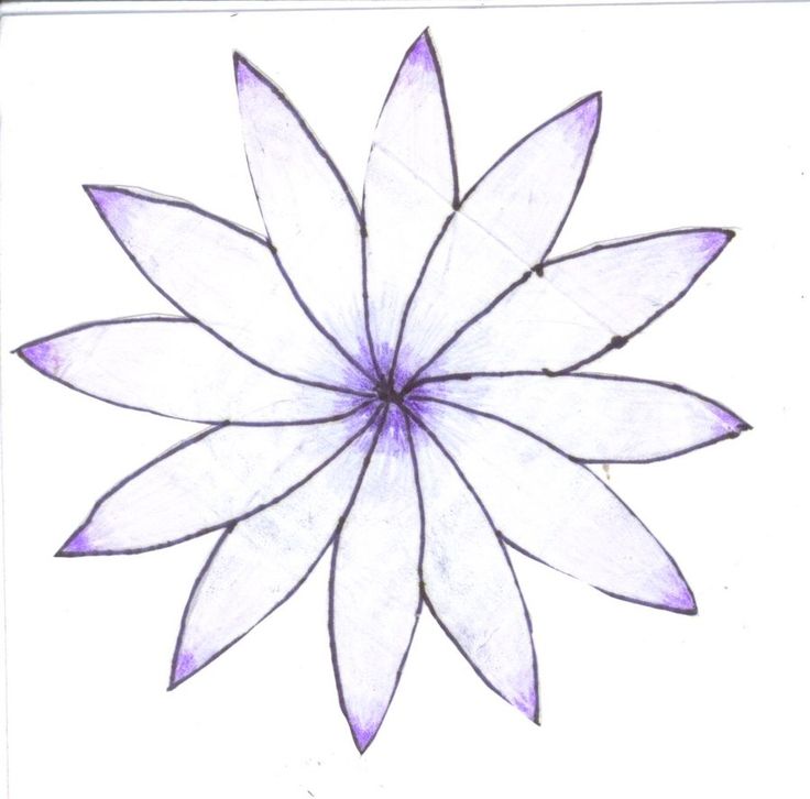 736x726 nice easy flower drawings flowers easy to draw best easy flower - Nice Flower Drawing