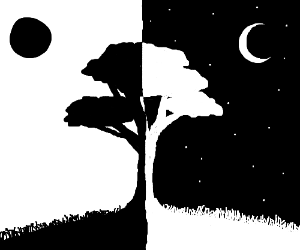 300x250 the tree of night and day drawing - Night And Day Drawing