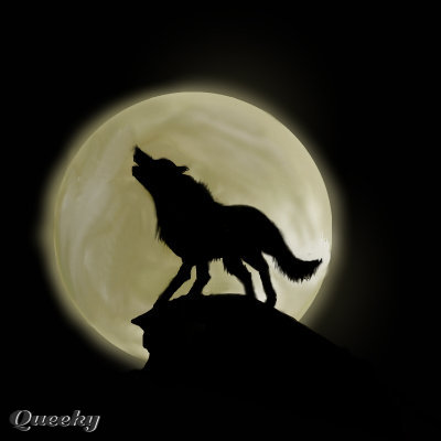 400x400 wolf at night drawing - Night Drawing