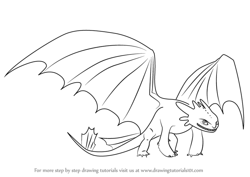 800x566 learn how to draw night fury from how to train your dragon - Night Fury Drawing