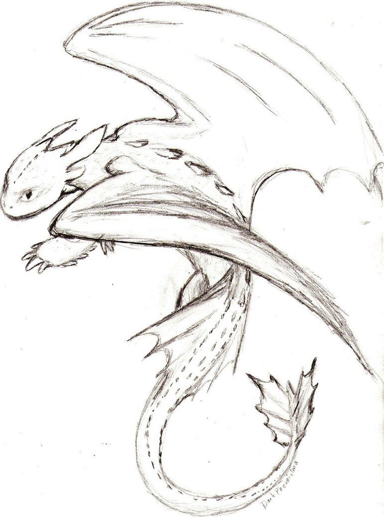 771x1036 sketches and other art in easy dragon - Night Fury Drawing