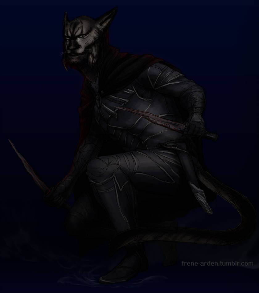 840x952 khajiit in nightingale armor - Nightingale Armor Drawing