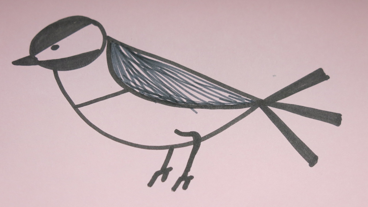 1280x720 how to draw a nightingale simple drawing tutorial for kids - Nightingale Drawing