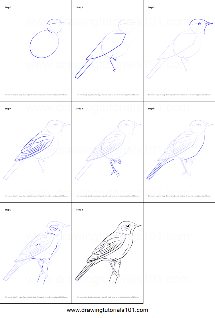 751x1110 how to draw a nightingale printable step - Nightingale Drawing
