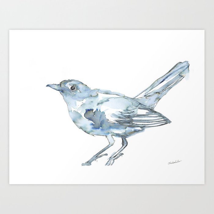 700x700 nightingale watercolor sketch art print - Nightingale Drawing