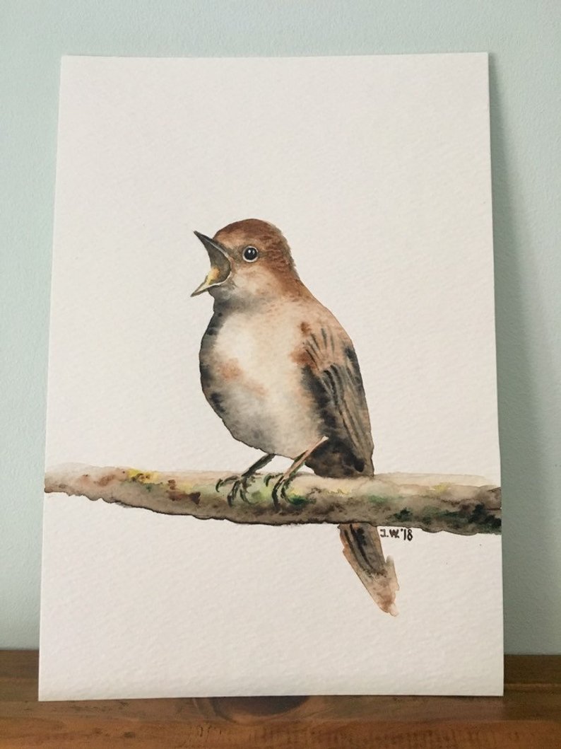 794x1059 original watercolour painting nightingale bird drawing gift etsy - Nightingale Drawing