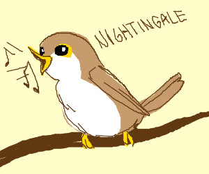 300x250 nightingale in tree drawing - Nightingale Drawing