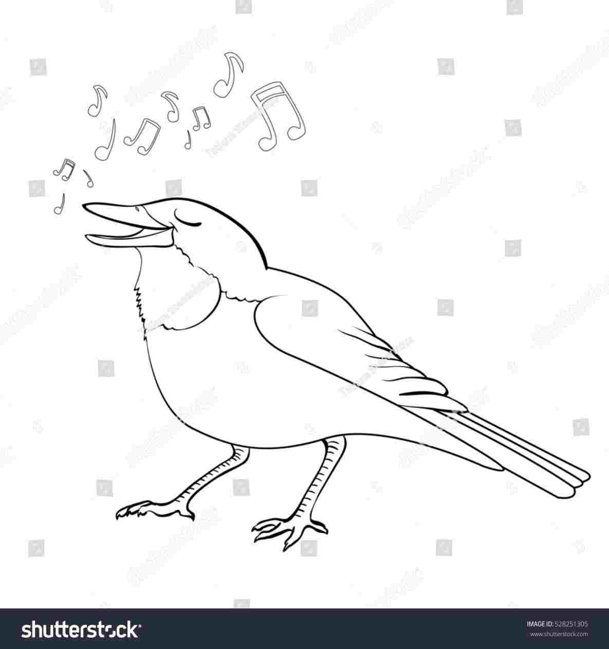 1185x1264 cartoon nightingale drawing - Nightingale Drawing