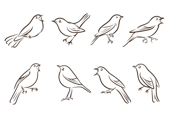 700x490 free nightingale vectors - Nightingale Drawing