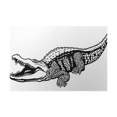 400x400 collection of free drawing crocodile download on ui ex - Nile Crocodile Drawing