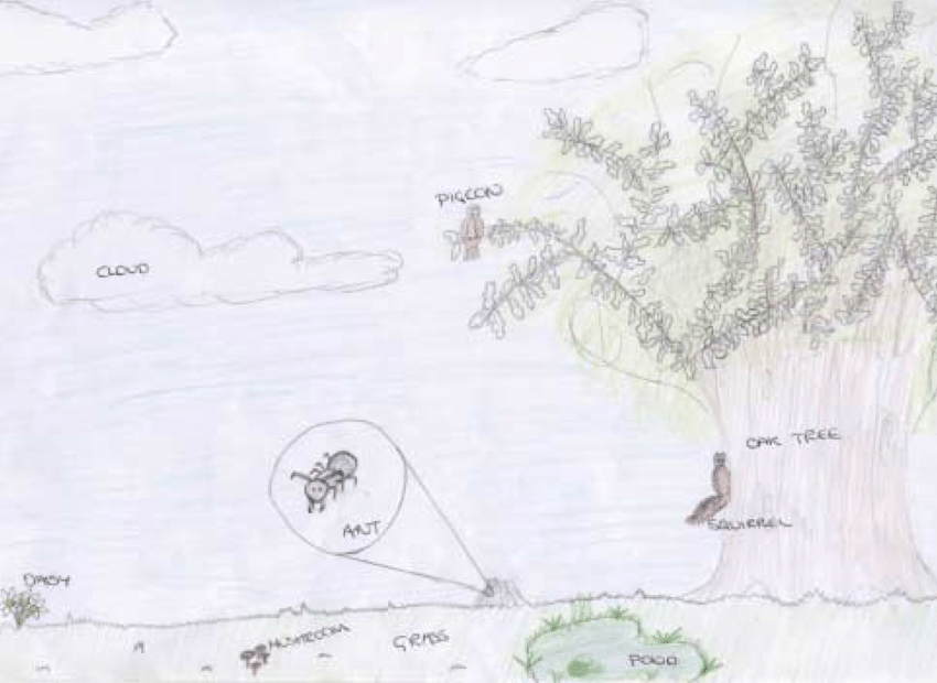 850x620 A Drawing Produced - Nine Drawing