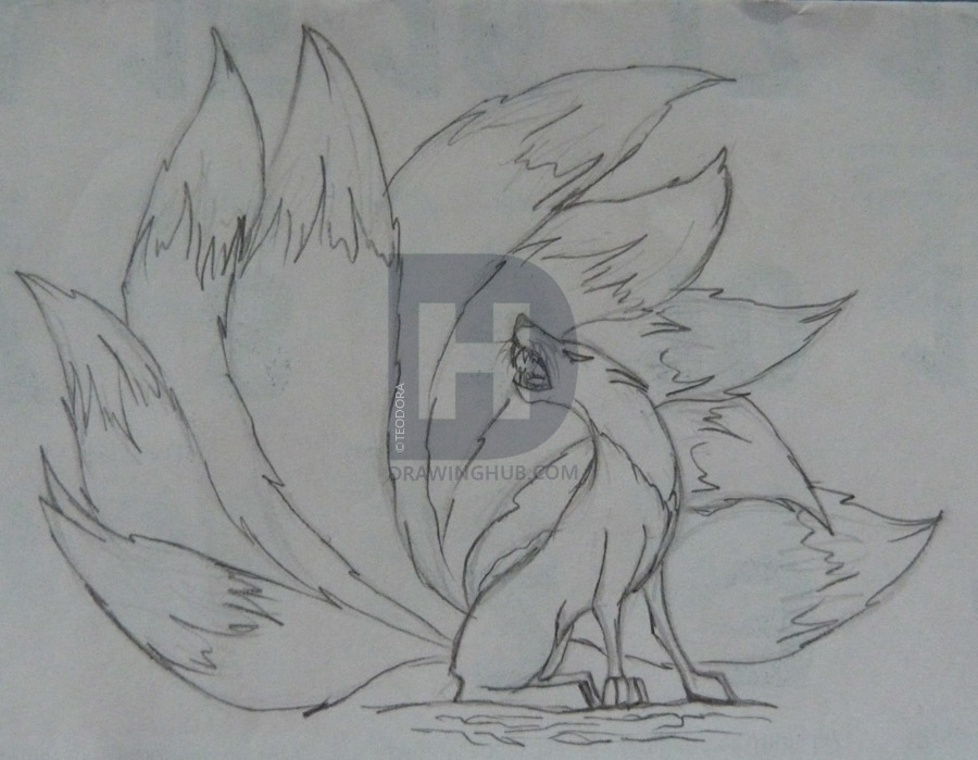 900x699 Nine Tail Fox Drawing - Nine Tailed Fox Drawing