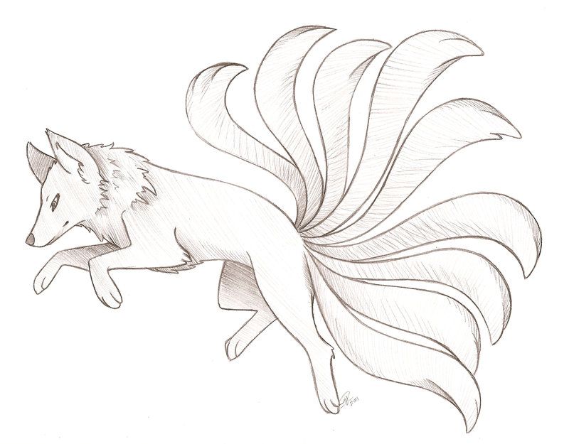 nine tails drawing at paintingvalley com explore collection of nine tails drawing nine tails drawing at paintingvalley