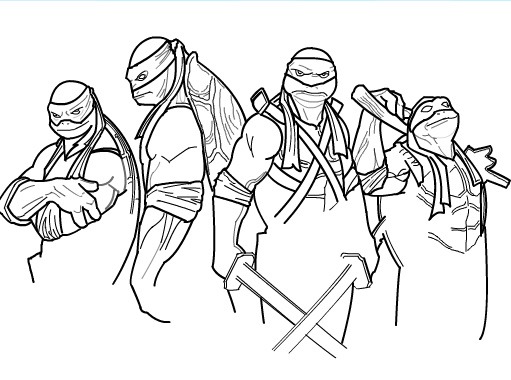 511x380 teenage mutant ninja turtles drawings - Ninja Turtle Drawing