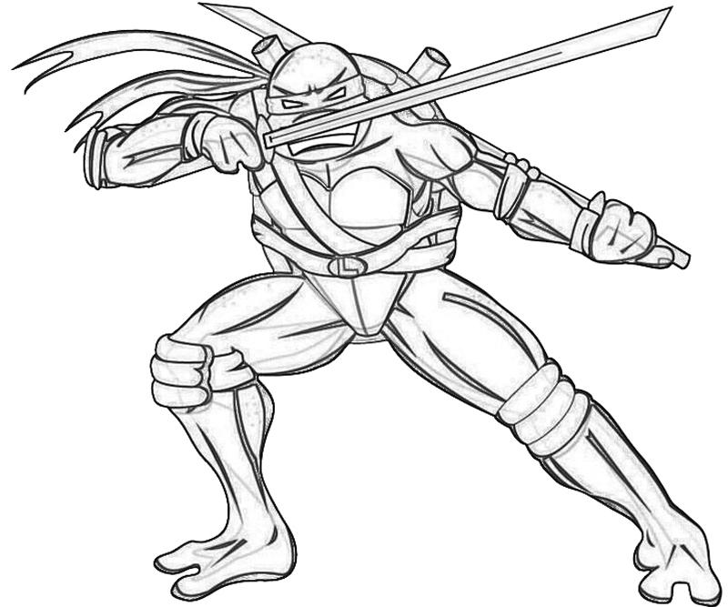 800x667 Leonardo Ninja Turtle Drawing At Getdrawings Com Free For Personal - Ninja Turtle Drawing Pictures