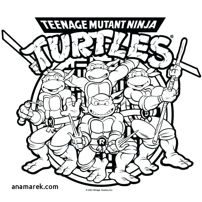 700x700 Teenage Mutant Ninja Turtles Drawings Pedrodeona - Ninja Turtle Drawing Pictures