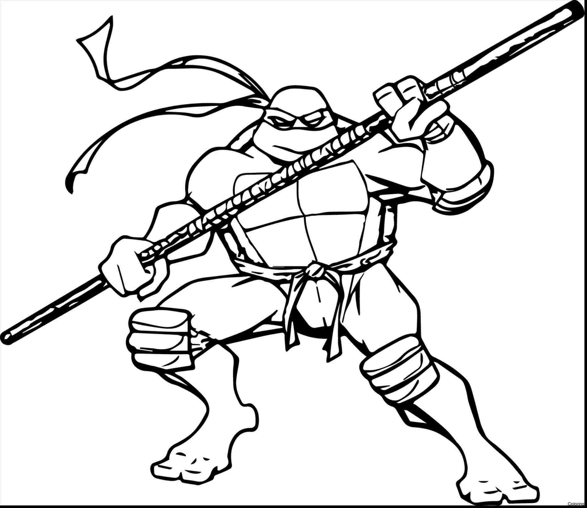 Ninja Turtle Face Drawing at PaintingValley.com | Explore collection of