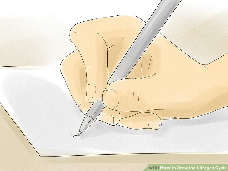 728x546 How To Draw The Nitrogen Cycle Steps - Nitrogen Drawing