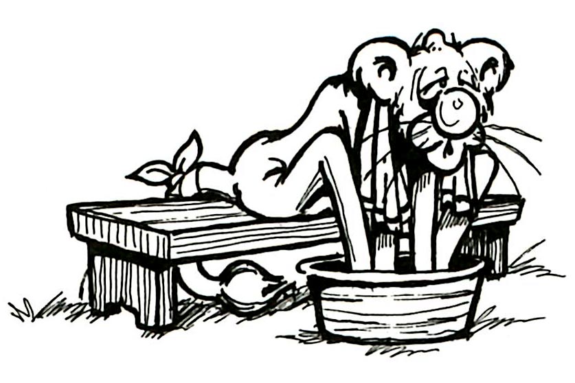 837x558 penn state alumni association - Nittany Lion Drawing