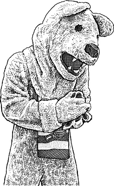 382x625 does your mascot have a dna sequence school boosters now use - Nittany Lion Drawing