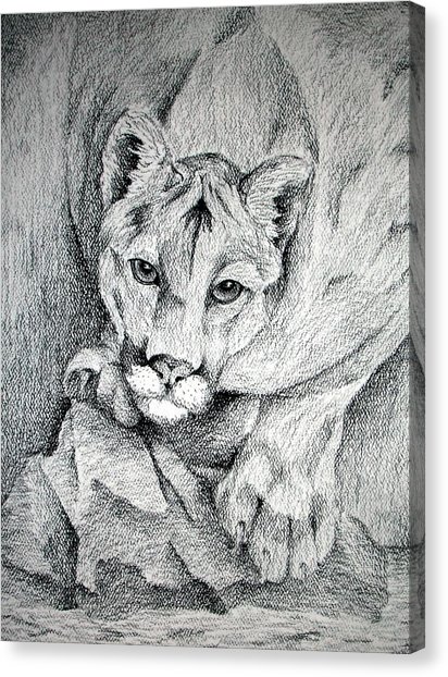 412x622 Mountain Lion Drawing - Nittany Lion Drawing