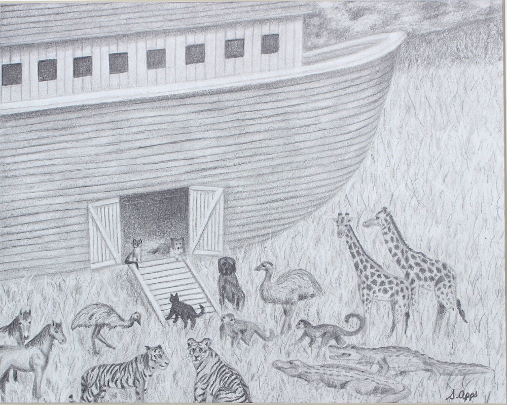 Noahs Ark Drawing at Explore collection of Noahs