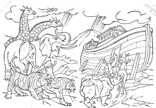 655x452 noah coloring - Noahs Ark Drawing